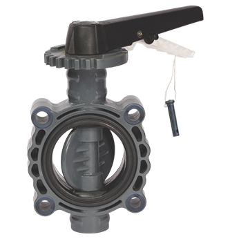 Butterfly Valve