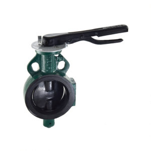 Butterfly Valve Iron Disc - Lever