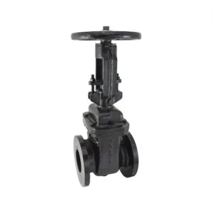 Gate Valve Cast Iron Sluice Valve PN 1.0 Rising Stem — 1079C