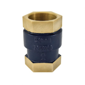 Bronze Vertical Check Valve (Screwed) - ISI