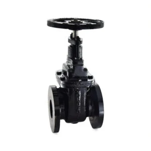 Gate Valve Cast Iron Sluice Valve PN 1.0 — 1079A