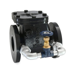 Cast Iron NRV PN 1.0 with Bypass (Flanged)