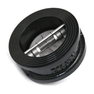 Cast Iron Dual Plate Wafer Check Valve PN 16 — 1082