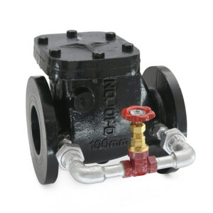 Cast Iron NRV PN 1.6 with Bypass (Flanged)