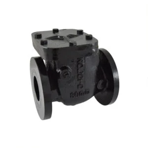 Check Valve Cast Iron Non-Return Valve PN 1.6 (Flanged) — 1083A